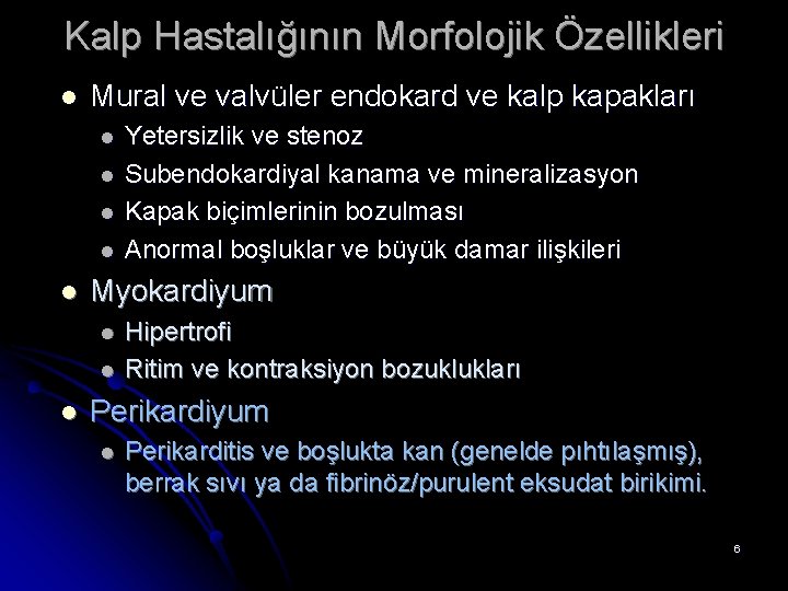 Kalp Hastalığının Morfolojik Özellikleri l Mural ve valvüler endokard ve kalp kapakları l l