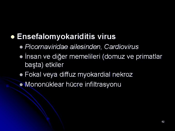 l Ensefalomyokariditis virus l Picornaviridae ailesinden, Cardiovirus l İnsan ve diğer memelileri (domuz ve