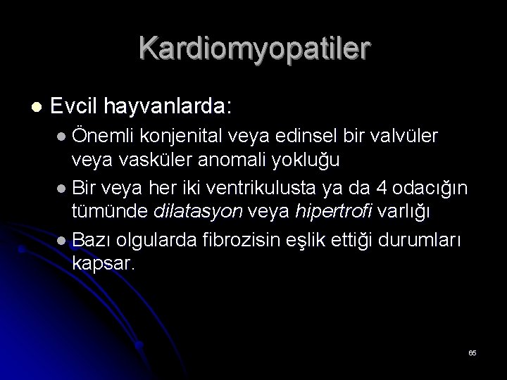 Kardiomyopatiler l Evcil hayvanlarda: l Önemli konjenital veya edinsel bir valvüler veya vasküler anomali