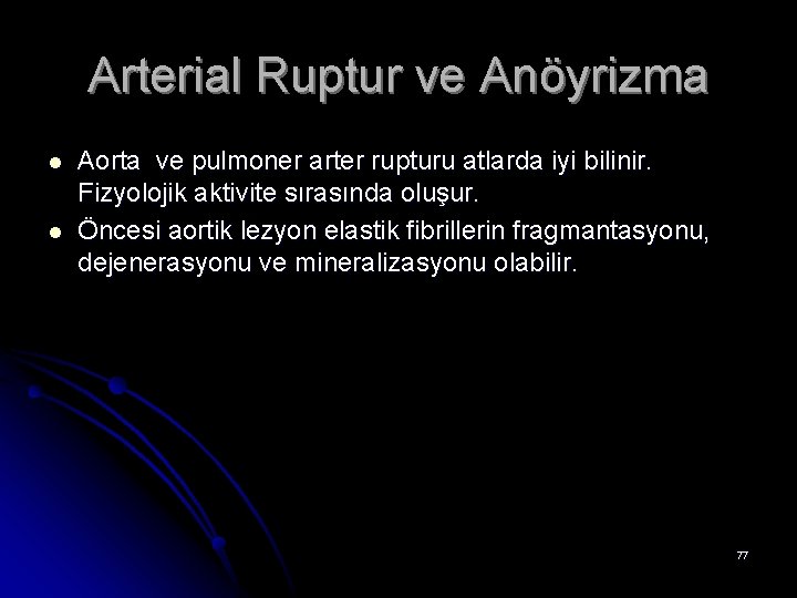 Arterial Ruptur ve Anöyrizma l l Aorta ve pulmoner arter rupturu atlarda iyi bilinir.