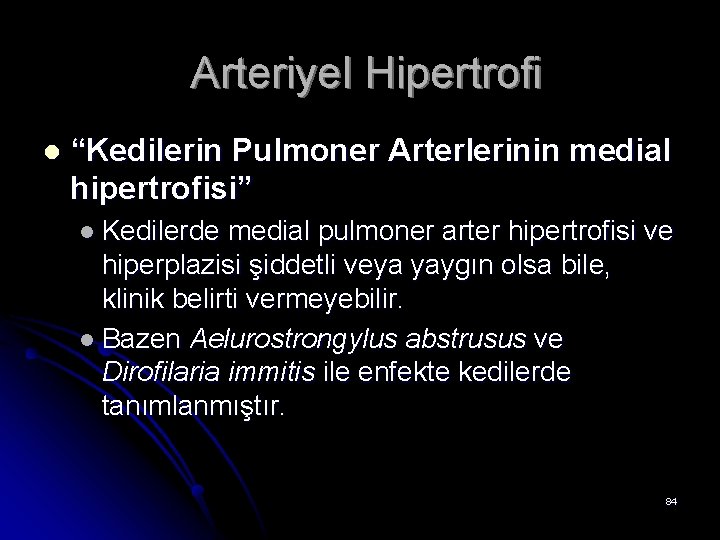 Arteriyel Hipertrofi l “Kedilerin Pulmoner Arterlerinin medial hipertrofisi” l Kedilerde medial pulmoner arter hipertrofisi