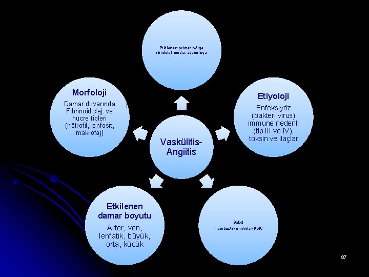 Etkilenen primer bölge (Endotel, media, adventisya Morfoloji Etiyoloji Damar duvarında Fibrinoid dej. ve hücre