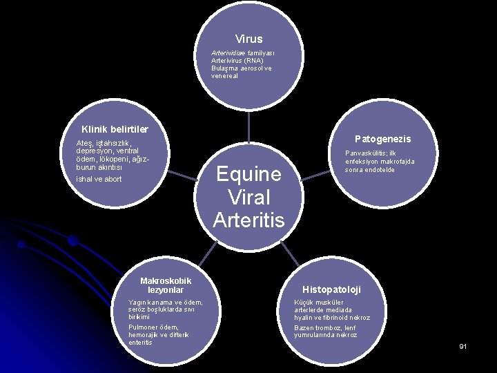 Virus Arterividiae familyası Arterivirus (RNA) Bulaşma aerosol ve venereal Klinik belirtiler Ateş, iştahsızlık, depresyon,