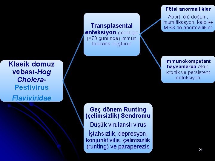 Transplasental enfeksiyon-gebeliğin Fötal anormallikler Abort, ölü doğum, mumifikasyon, kalp ve MSS de anormallikler (<70