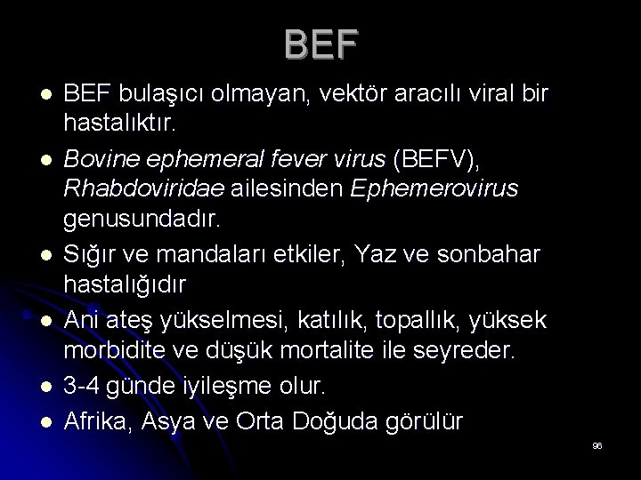 BEF l l l BEF bulaşıcı olmayan, vektör aracılı viral bir hastalıktır. Bovine ephemeral