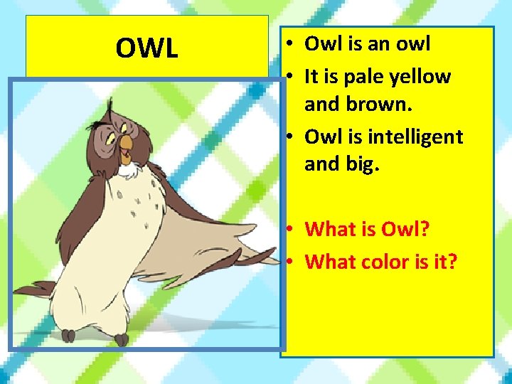 OWL • Owl is an owl • It is pale yellow and brown. •