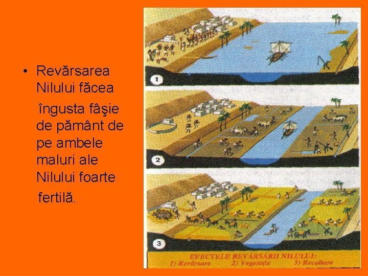  • Revărsarea Nilului făcea îngusta fâşie de pământ de pe ambele maluri ale