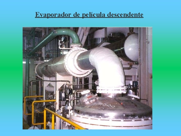 Evaporador de película descendente 