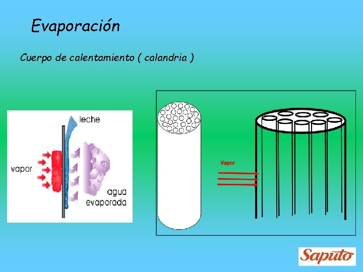 Evaporación Cuerpo de calentamiento ( calandria ) 