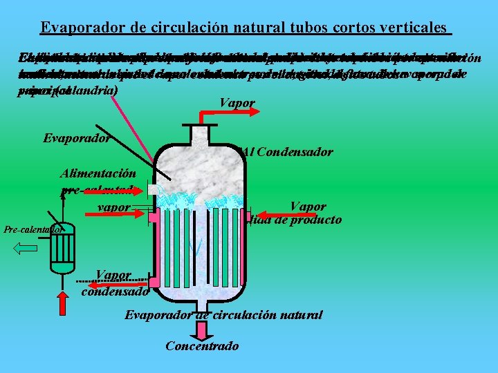 Evaporador de circulación natural tubos cortos verticales El En alimento producto líquido los evaporadores