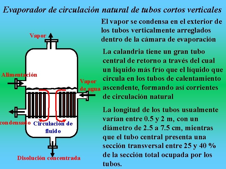 Evaporador de circulación natural de tubos cortos verticales El vapor se condensa en el