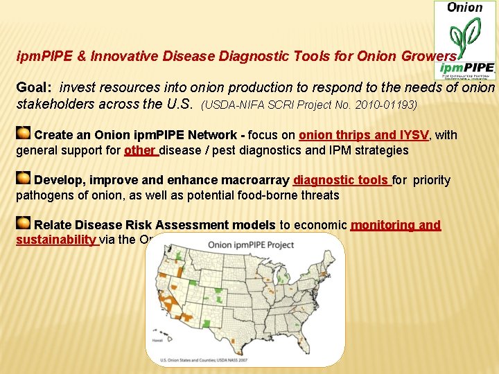 ipm. PIPE & Innovative Disease Diagnostic Tools for Onion Growers Goal: invest resources into ipm. PIPE & Innovative Disease Diagnostic Tools for Onion Growers Goal: invest resources into
