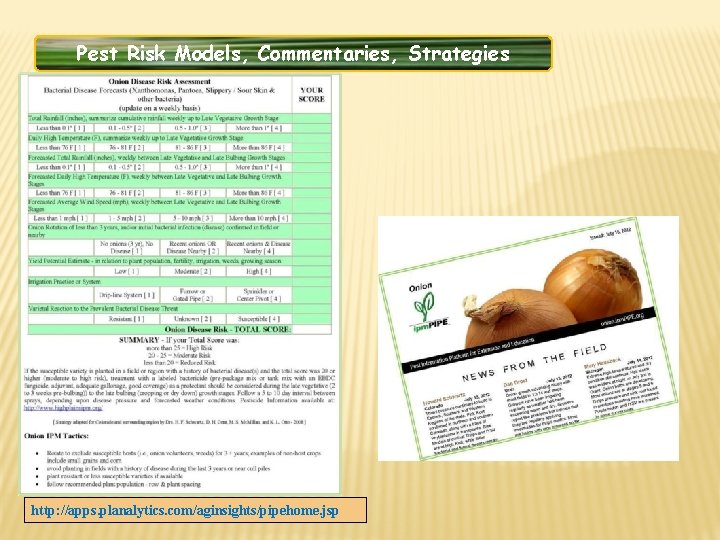 Pest Risk Models, Commentaries, Strategies http: //apps. planalytics. com/aginsights/pipehome. jsp 