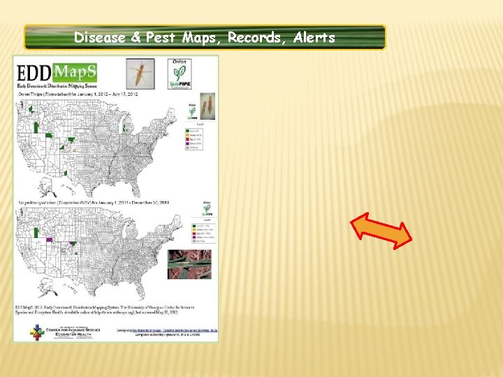 Disease & Pest Maps, Records, Alerts 