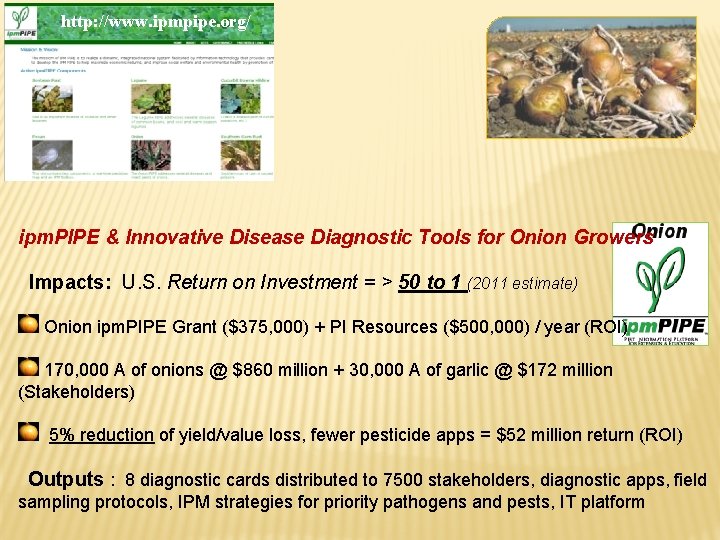 http: //www. ipmpipe. org/ ipm. PIPE & Innovative Disease Diagnostic Tools for Onion Growers