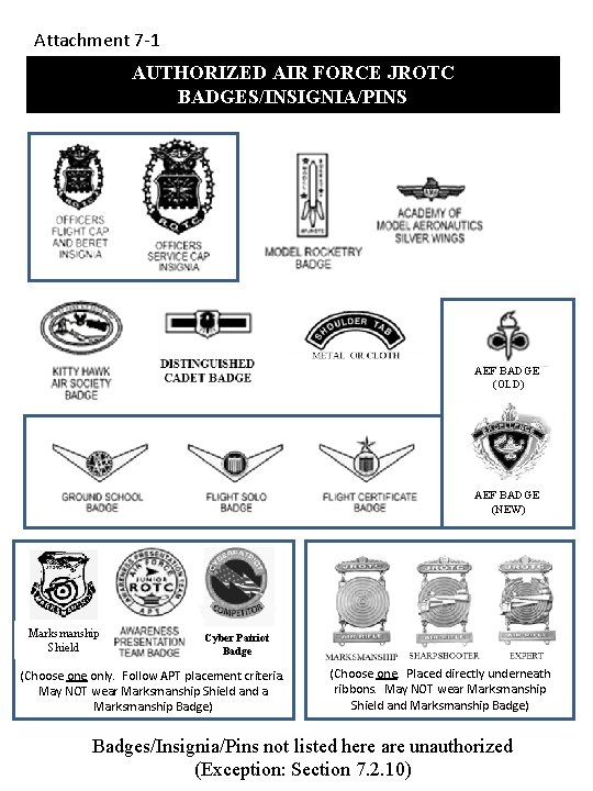 Attachment 7 -1 AUTHORIZED AIR FORCE JROTC BADGES/INSIGNIA/PINS AEF BADGE (OLD) AEF BADGE (NEW)