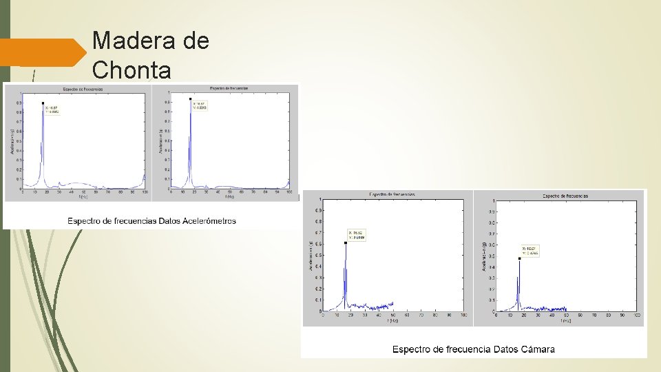 Madera de Chonta 