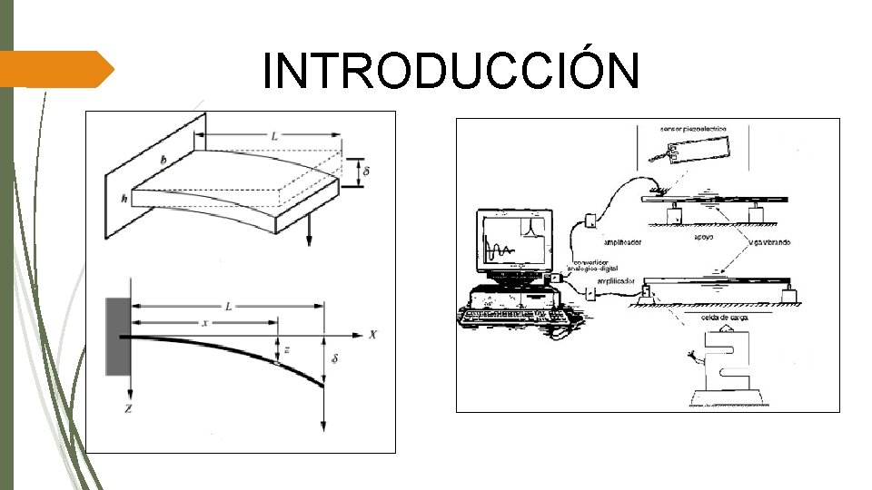 INTRODUCCIÓN 