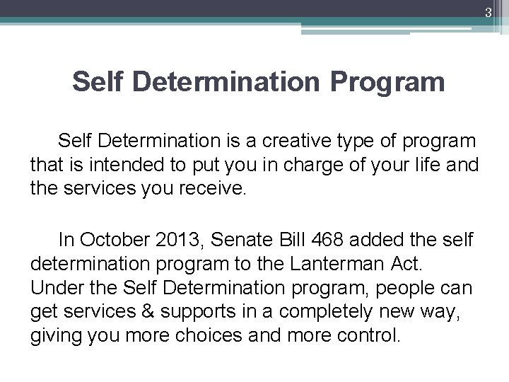 3 Self Determination Program Self Determination is a creative type of program that is