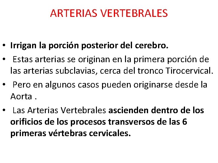 ARTERIAS VERTEBRALES • Irrigan la porción posterior del cerebro. • Estas arterias se originan ARTERIAS VERTEBRALES • Irrigan la porción posterior del cerebro. • Estas arterias se originan
