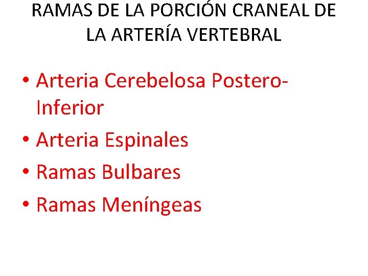 RAMAS DE LA PORCIÓN CRANEAL DE LA ARTERÍA VERTEBRAL • Arteria Cerebelosa Postero. Inferior RAMAS DE LA PORCIÓN CRANEAL DE LA ARTERÍA VERTEBRAL • Arteria Cerebelosa Postero. Inferior