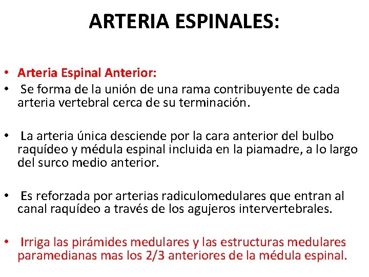ARTERIA ESPINALES: • Arteria Espinal Anterior: • Se forma de la unión de una ARTERIA ESPINALES: • Arteria Espinal Anterior: • Se forma de la unión de una