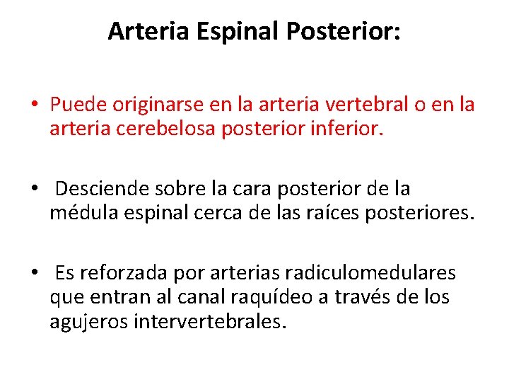 Arteria Espinal Posterior: • Puede originarse en la arteria vertebral o en la arteria Arteria Espinal Posterior: • Puede originarse en la arteria vertebral o en la arteria