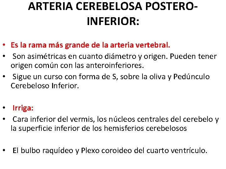 ARTERIA CEREBELOSA POSTEROINFERIOR: • Es la rama más grande de la arteria vertebral. • ARTERIA CEREBELOSA POSTEROINFERIOR: • Es la rama más grande de la arteria vertebral. •