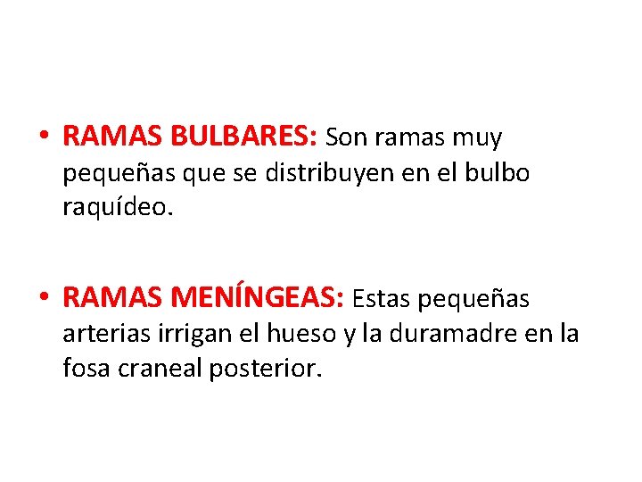 • RAMAS BULBARES: Son ramas muy pequeñas que se distribuyen en el bulbo • RAMAS BULBARES: Son ramas muy pequeñas que se distribuyen en el bulbo