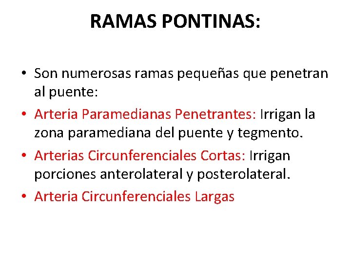 RAMAS PONTINAS: • Son numerosas ramas pequeñas que penetran al puente: • Arteria Paramedianas RAMAS PONTINAS: • Son numerosas ramas pequeñas que penetran al puente: • Arteria Paramedianas