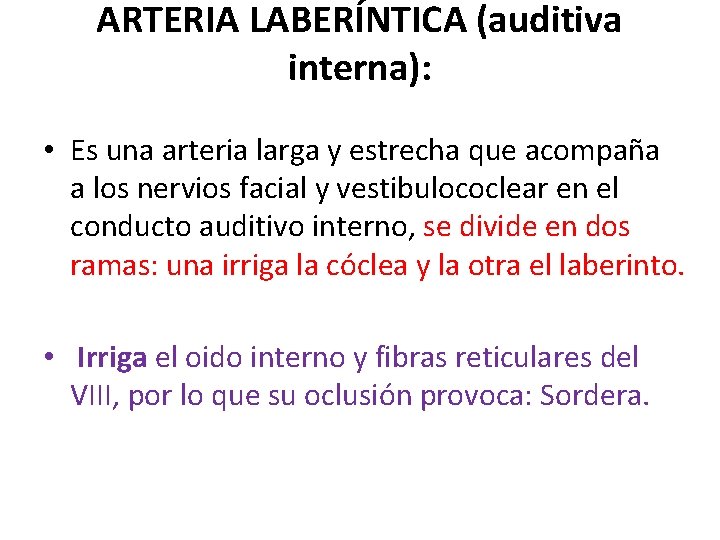 ARTERIA LABERÍNTICA (auditiva interna): • Es una arteria larga y estrecha que acompaña a ARTERIA LABERÍNTICA (auditiva interna): • Es una arteria larga y estrecha que acompaña a