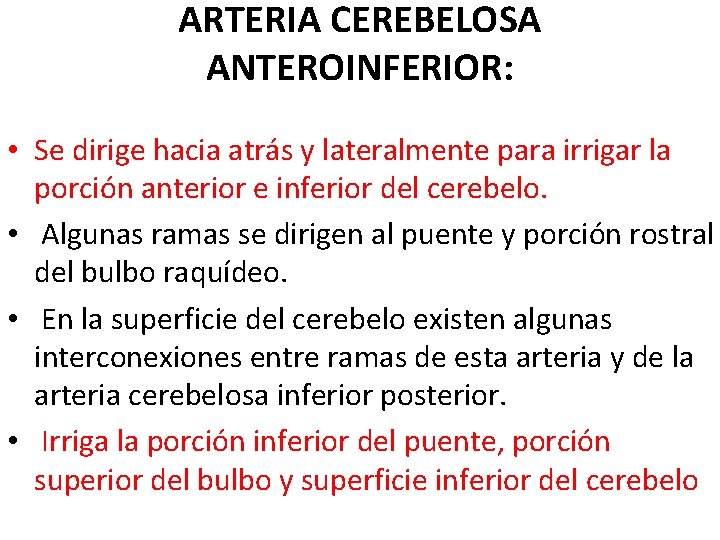 ARTERIA CEREBELOSA ANTEROINFERIOR: • Se dirige hacia atrás y lateralmente para irrigar la porción ARTERIA CEREBELOSA ANTEROINFERIOR: • Se dirige hacia atrás y lateralmente para irrigar la porción