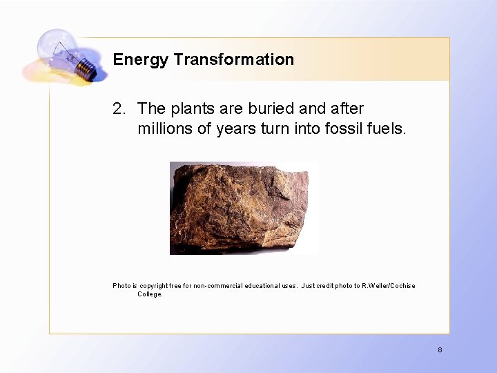 Energy Transformation 2. The plants are buried and after millions of years turn into