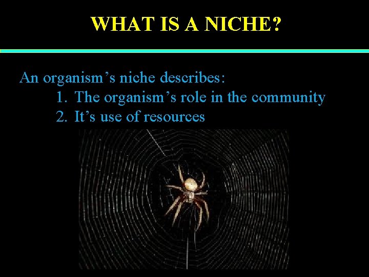 WHAT IS A NICHE? An organism’s niche describes: 1. The organism’s role in the