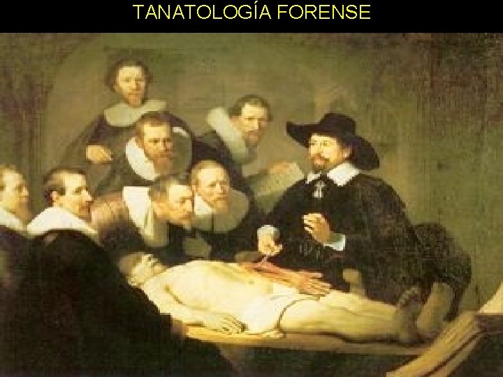 TANATOLOGÍA FORENSE 