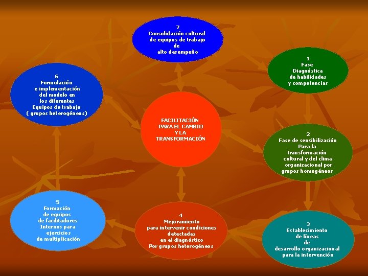 7 Consolidación cultural de equipos de trabajo de alto desempeño 1 Fase Diagnóstica de