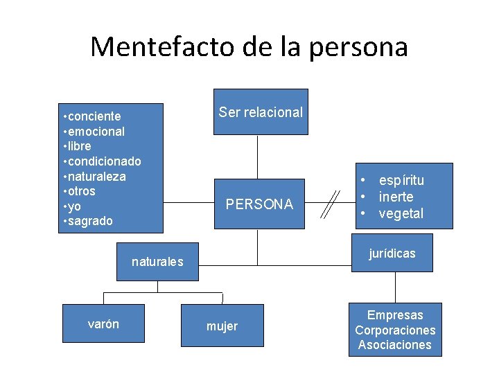 Mentefacto de la persona • conciente • emocional • libre • condicionado • naturaleza