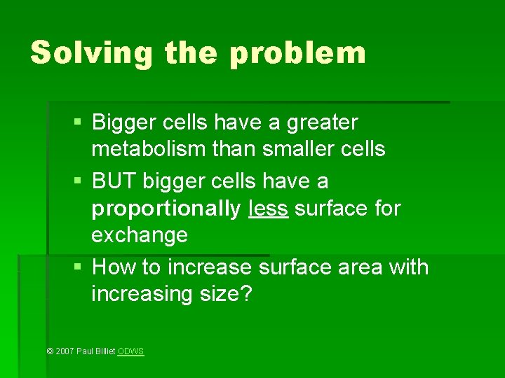 Solving the problem § Bigger cells have a greater metabolism than smaller cells §