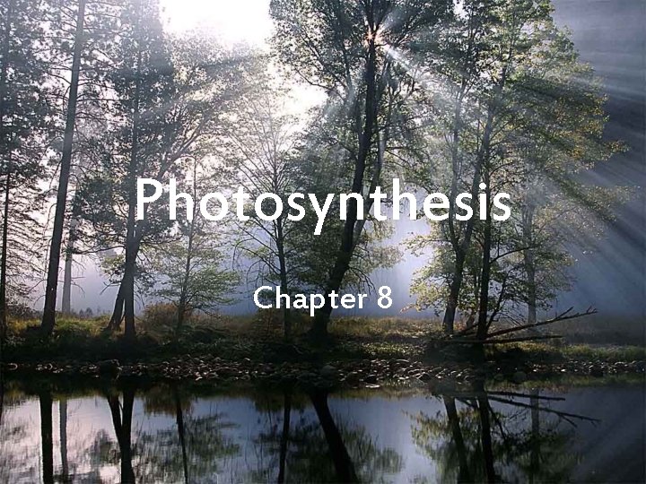 Photosynthesis Chapter 8 Energy and Life Section 8