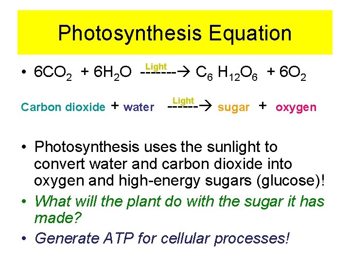 Photosynthesis Equation Light • 6 CO 2 + 6 H 2 O ------- C Photosynthesis Equation Light • 6 CO 2 + 6 H 2 O ------- C