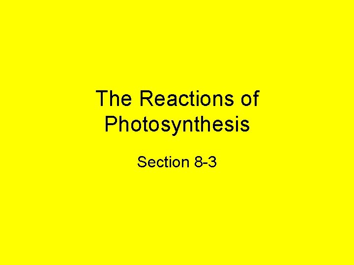 Photosynthesis Chapter 8 Energy and Life Section 8