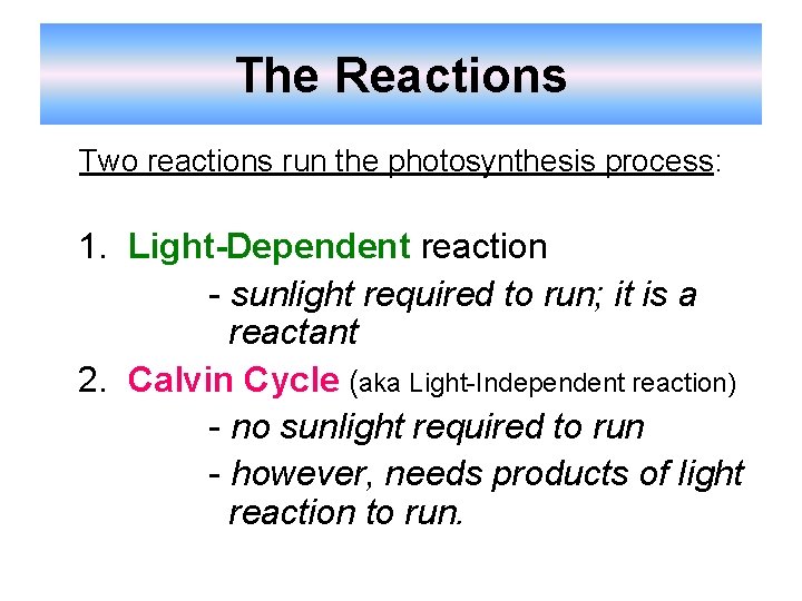 The Reactions Two reactions run the photosynthesis process: 1. Light-Dependent reaction - sunlight required The Reactions Two reactions run the photosynthesis process: 1. Light-Dependent reaction - sunlight required