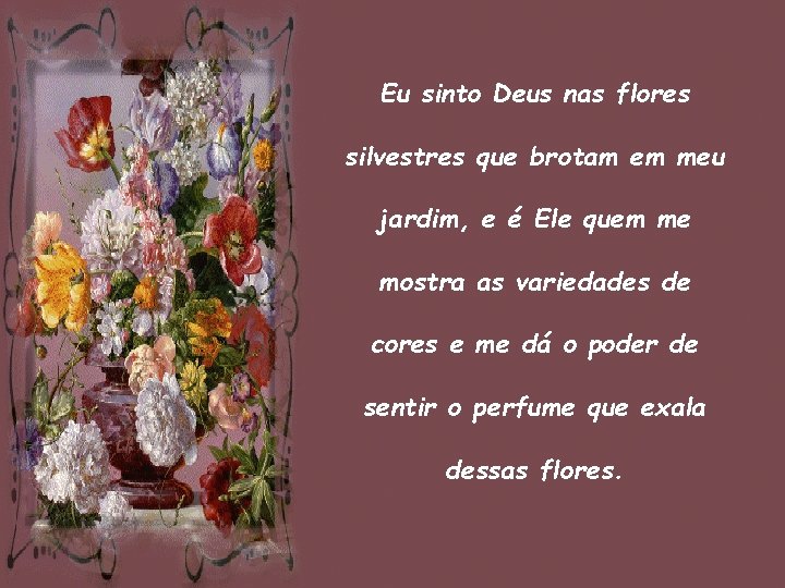 Eu sinto Deus nas flores silvestres que brotam em meu jardim, e é Ele