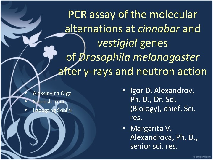 PCR assay of the molecular alternations at cinnabar and vestigial genes of Drosophila melanogaster