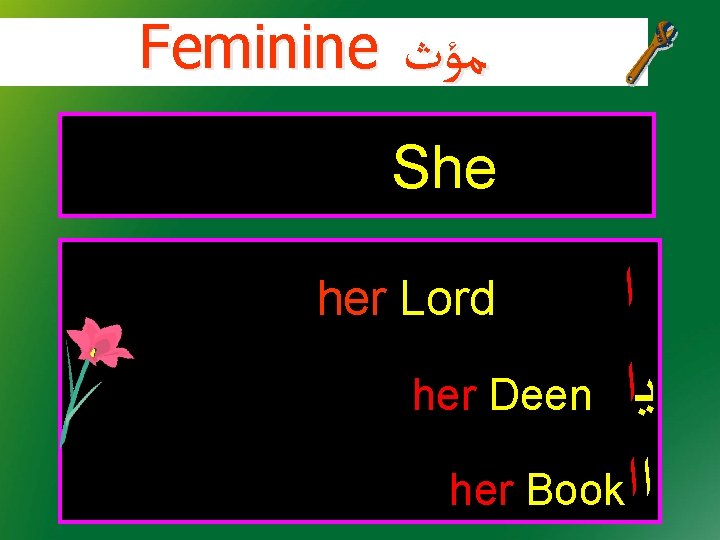 Feminine ﻣﺆﺙ She ﺍ her Deen ﻳﺍ her Book ﺍﺍ her Lord 