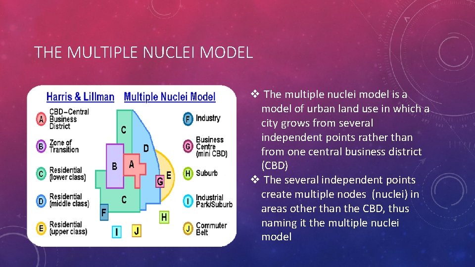 THE MULTIPLE NUCLEI MODEL v The multiple nuclei model is a model of urban