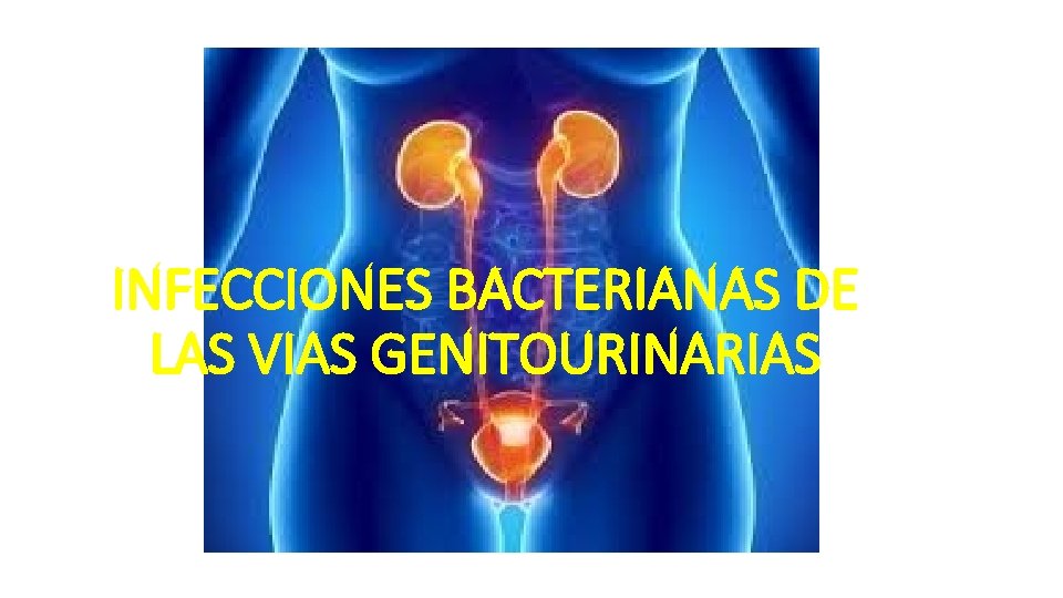 INFECCIONES BACTERIANAS DE LAS VIAS GENITOURINARIAS 