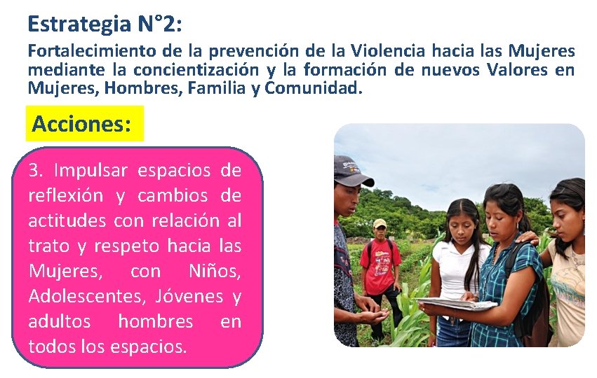 Estrategia N° 2: Fortalecimiento de la prevención de la Violencia hacia las Mujeres mediante