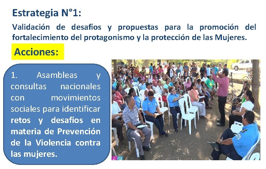 Estrategia N° 1: Validación de desafíos y propuestas para la promoción del fortalecimiento del