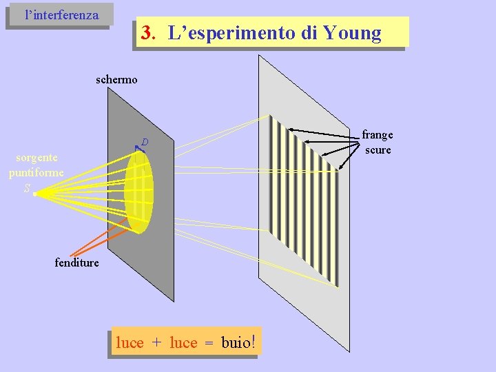 l’interferenza 3. L’esperimento di Young schermo D sorgente puntiforme S fenditure luce + luce